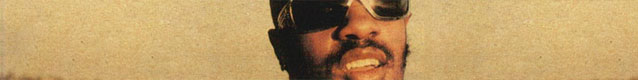 Stevie Wonder (banner)