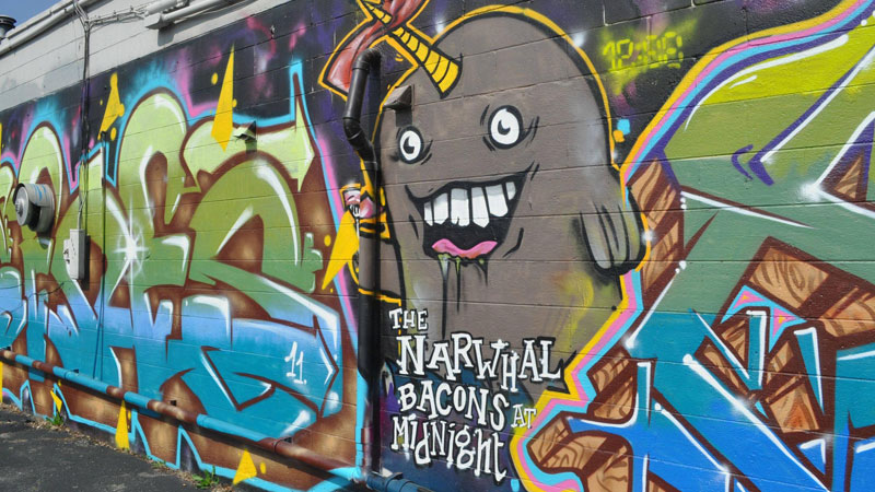 Narwhal Graffiti