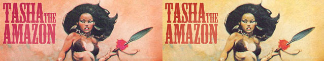 Tasha the Amazon (banner)