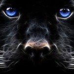 Night Panther (artwork)