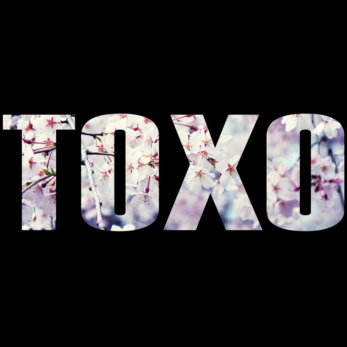 Toxo Music