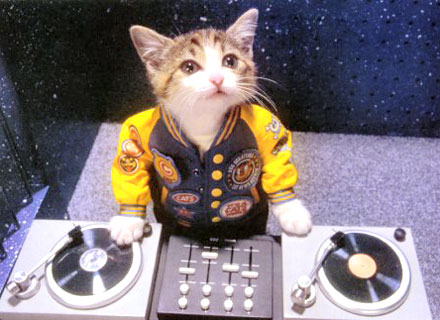Kitty DJ